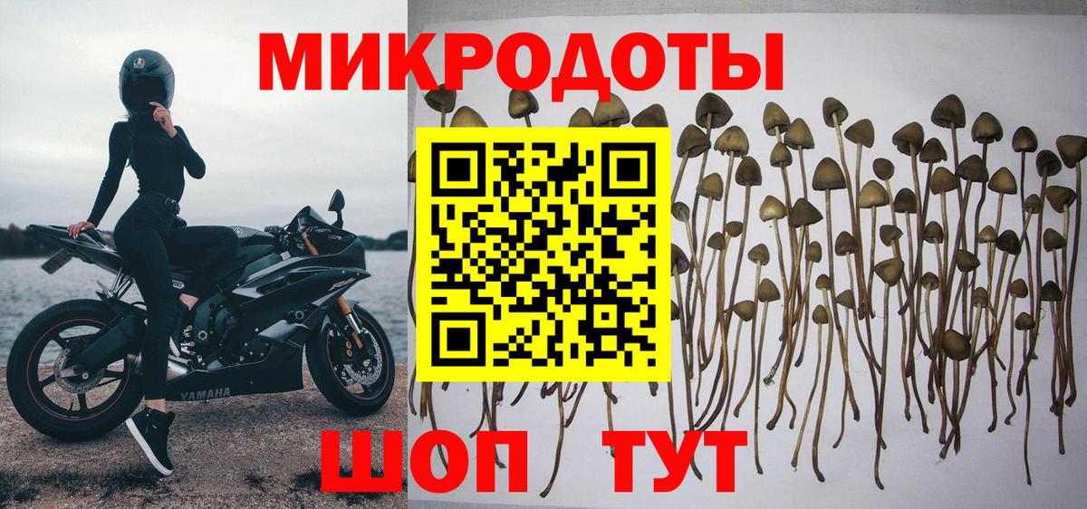 Тихорецк  Галлюциногенные грибы ЛСД  Вход с VPN  Галлюциногенные грибы Cubensis 